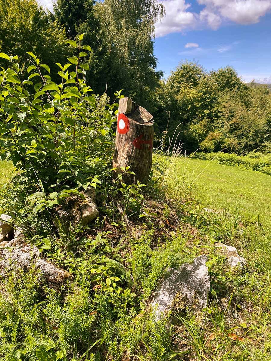 Fotografija kampa Žumberak 8